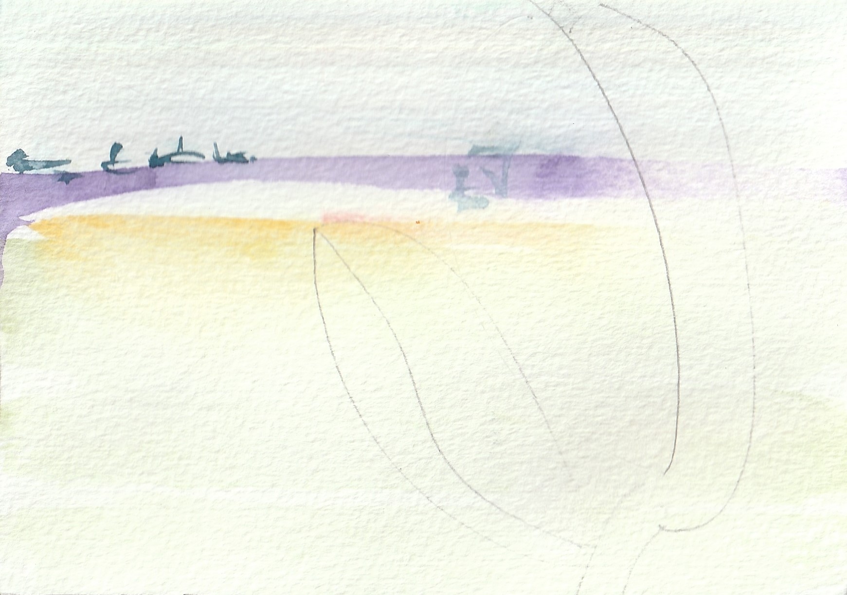 Bulb Fields IX